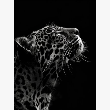 Black and White Jaguar Poster