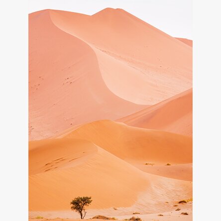 Poster “Dunes”