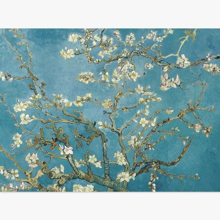 Landscape poster - Vincent Van Gogh - Almond Blossom Branches 1890