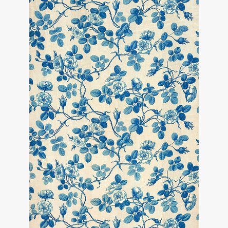 Blue Plants Poster