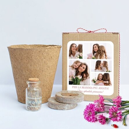 Kit per piantare fiori primaverili in una scatolina personalizzata con un collage di foto e un messa