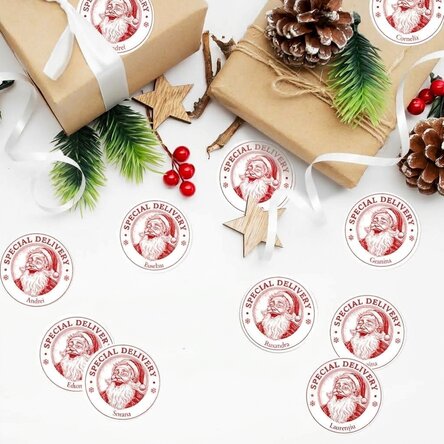 Set of 12 stickers (self-adhesive labels) personalised with names - Special delivery