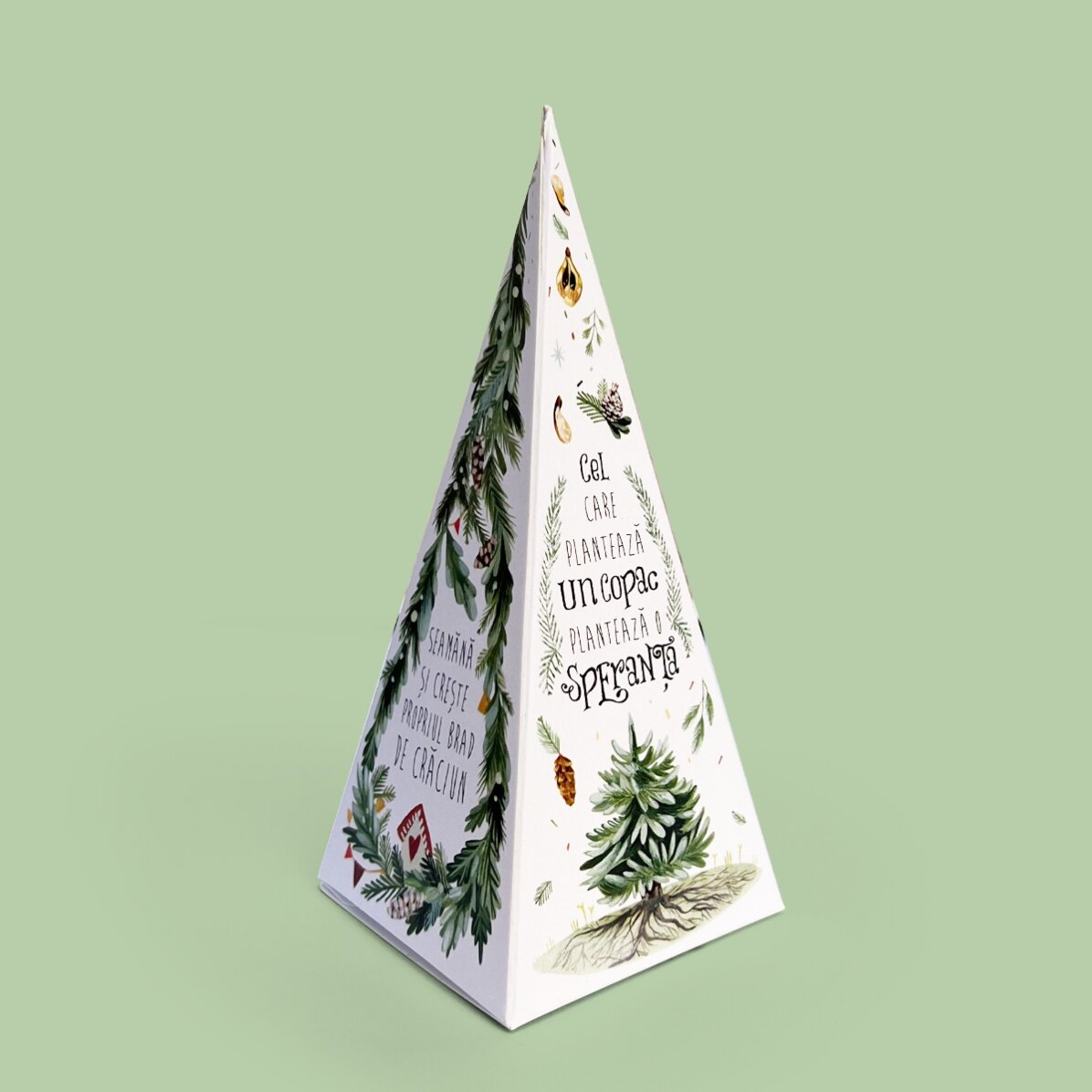 Personalised Christmas tree planting kit with a photo and message - Snowflakes