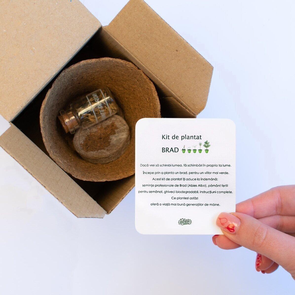 Kit per piantare semi di abete in una scatolina personalizzata con foto e messaggio - Da Babbo Natal