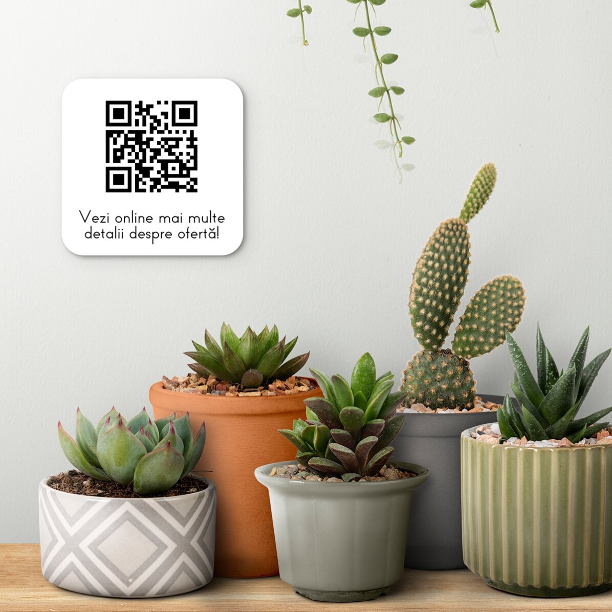 Targhetta personalizzata con codice QR e testo