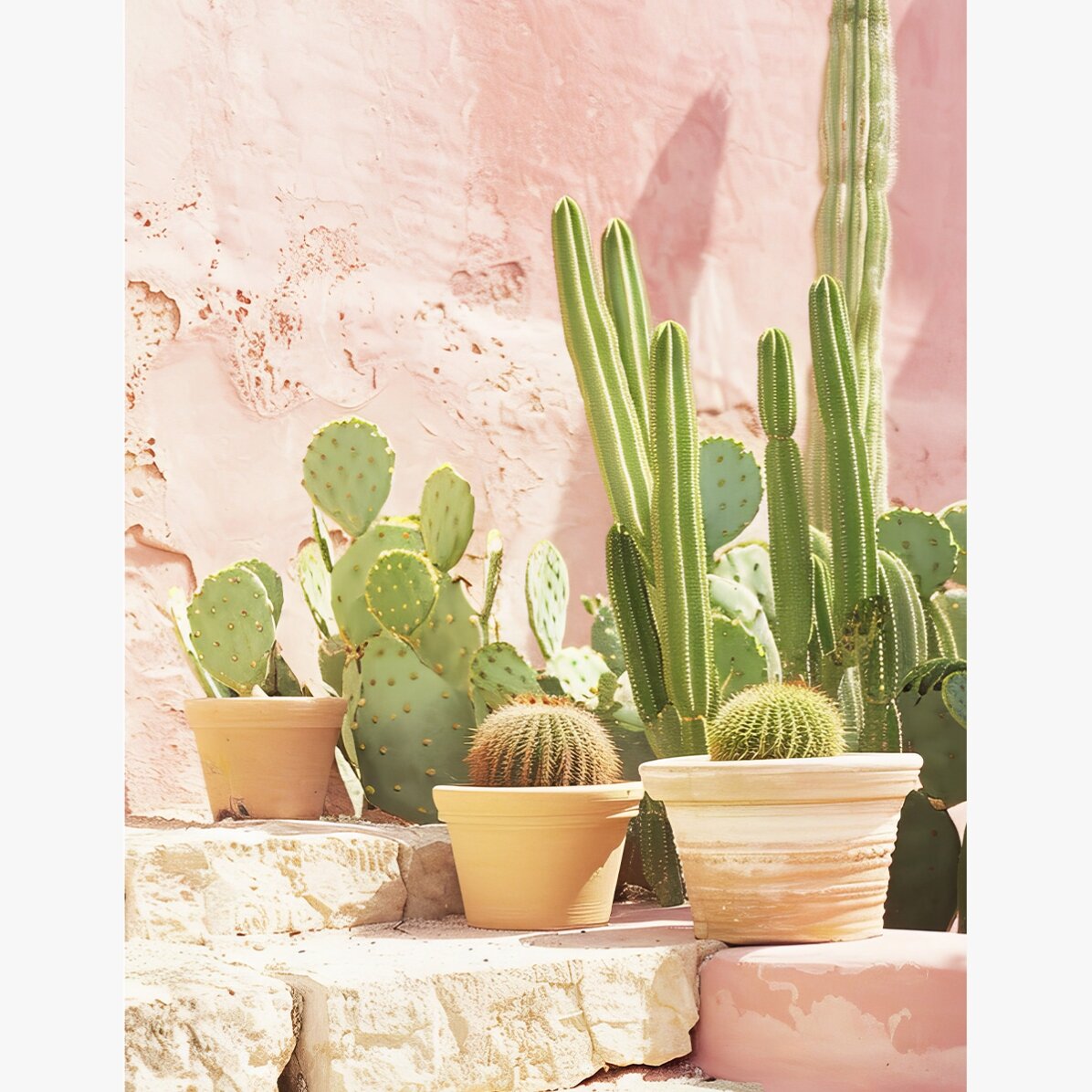 Poster “Cactus”