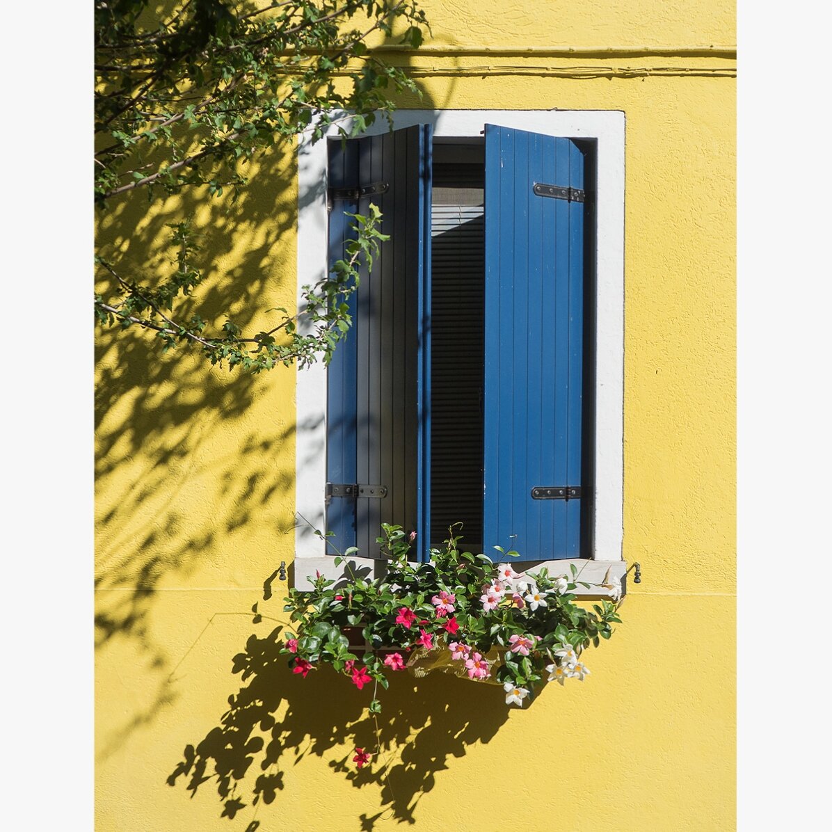 Poster “Finestra blu con fiori”