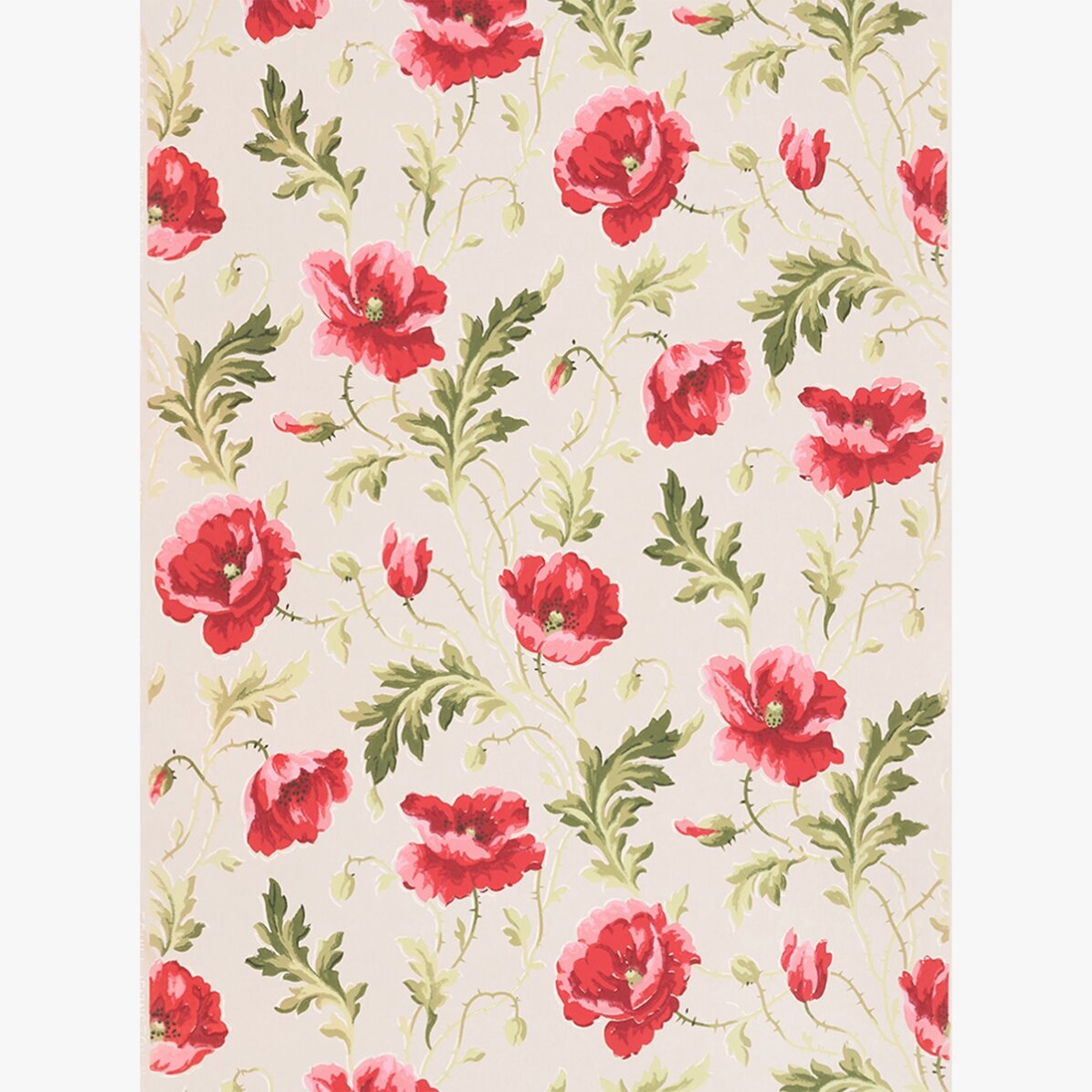 Poster con fiori rosa
