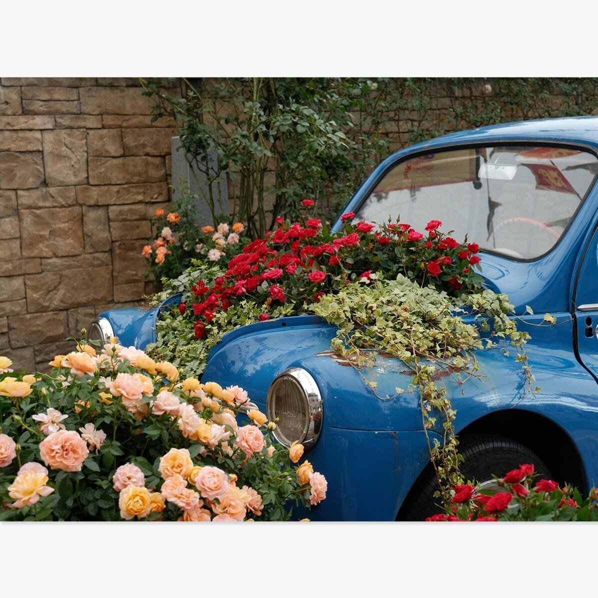 Poster: auto blu vintage con fiori