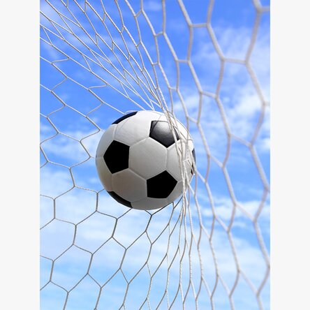 Poster “Pallone in porta”