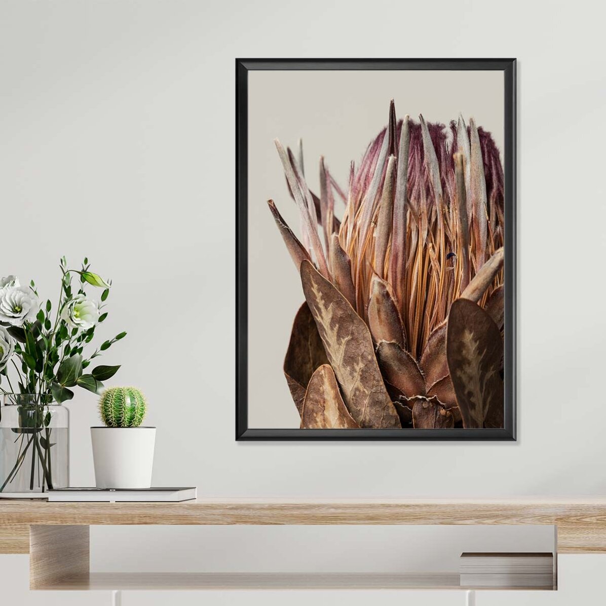 Poster con protea rosa