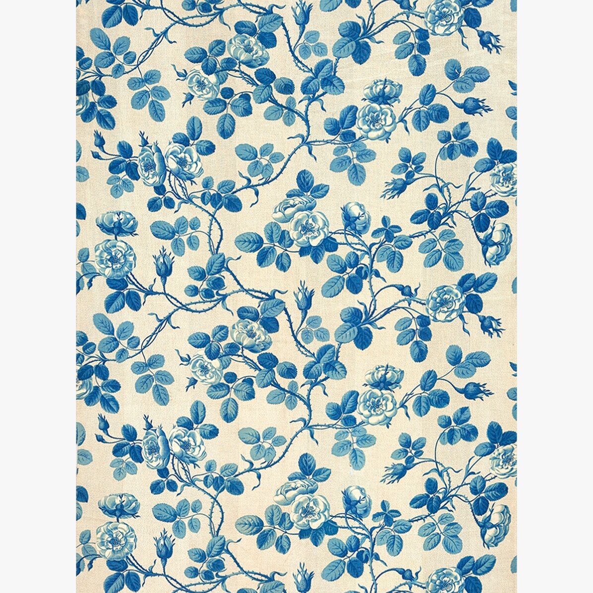 Poster “Piante blu”