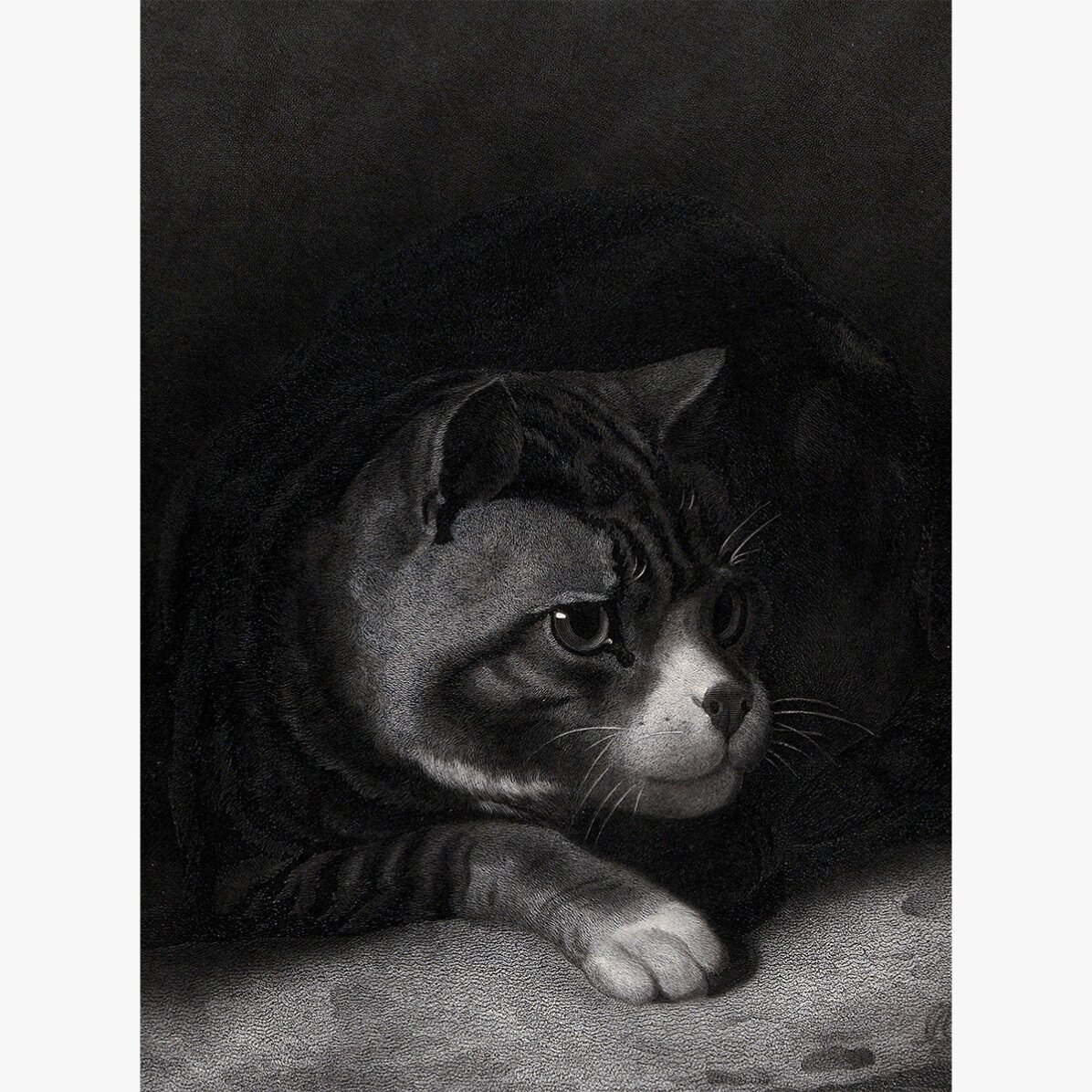 Poster di William Gil, Il gatto vigile che scruta tra le ombre, 1855