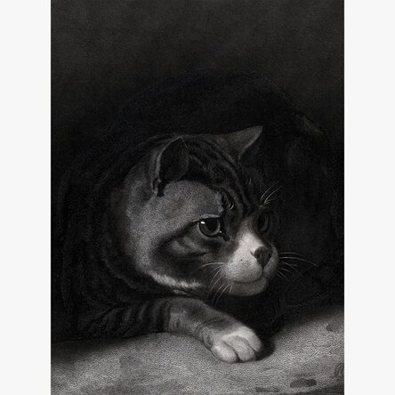 Poster di William Gil, Il gatto vigile che scruta tra le ombre, 1855