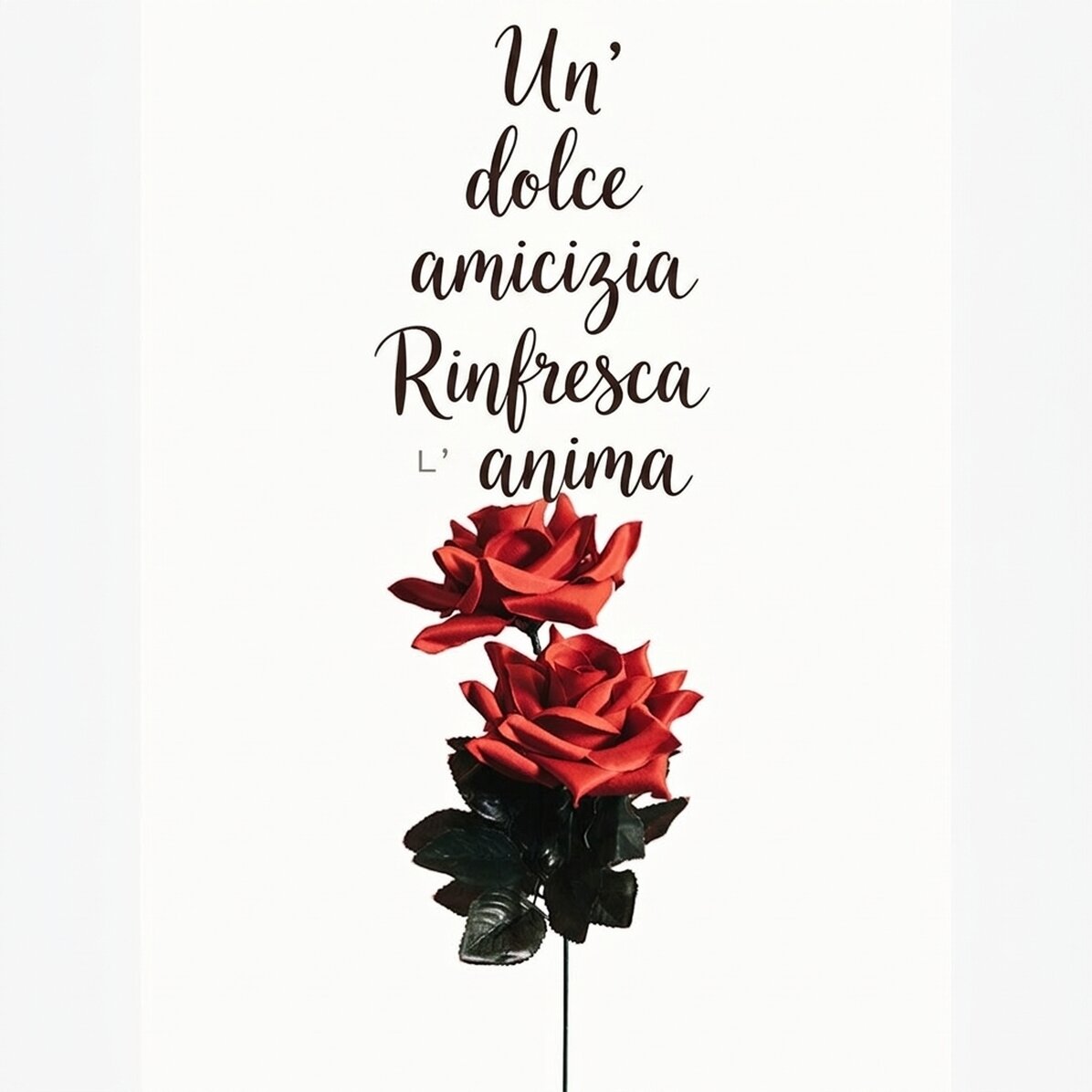 Poster “Amicizia con le rose”