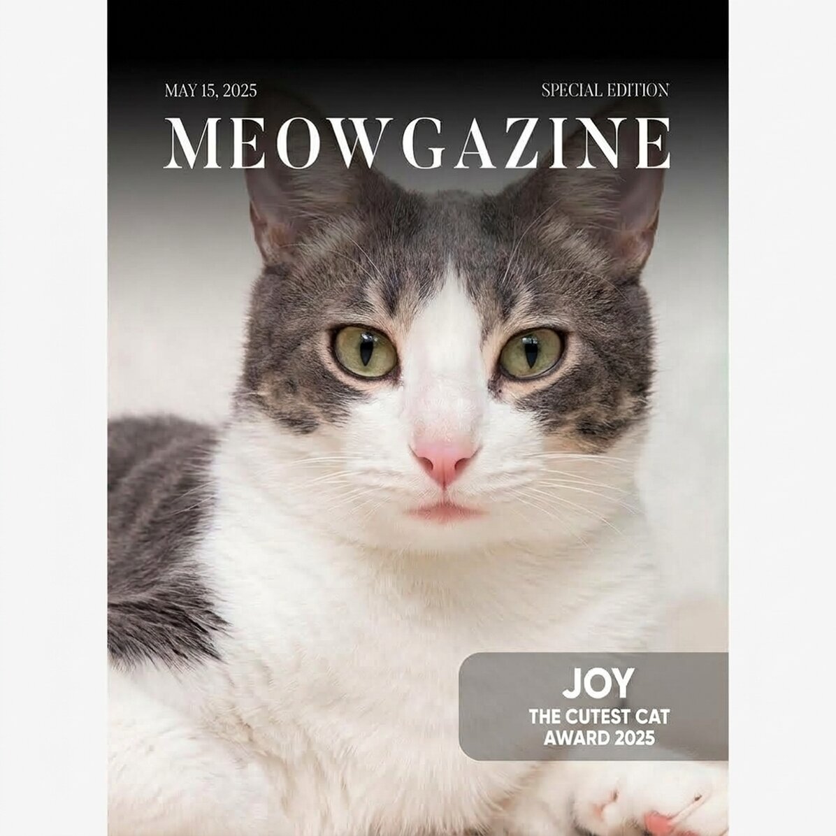 Poster personalizzato con foto e testo - Meowgazine